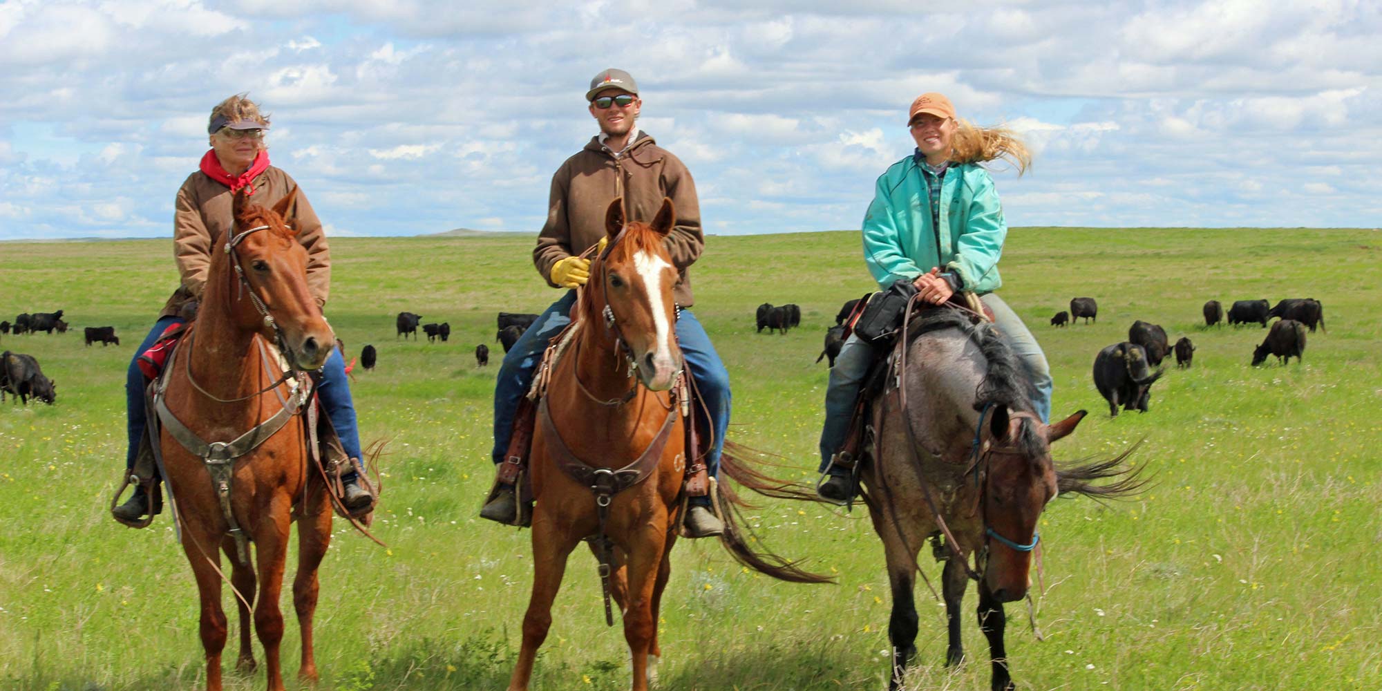 Bar 69 Angus Angus Cattle Breeder Belle Fourche, SD