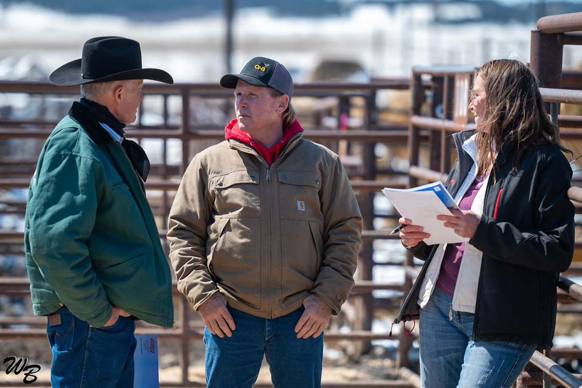 Bar 69 Angus Annual Production Sale Belle Fourche, SD