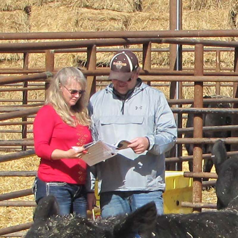 Bar 69 Angus Annual Production Sale Belle Fourche, SD