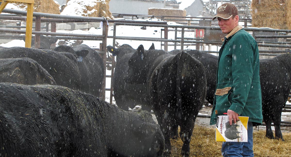 Bar 69 Angus Annual Production Sale Belle Fourche, SD